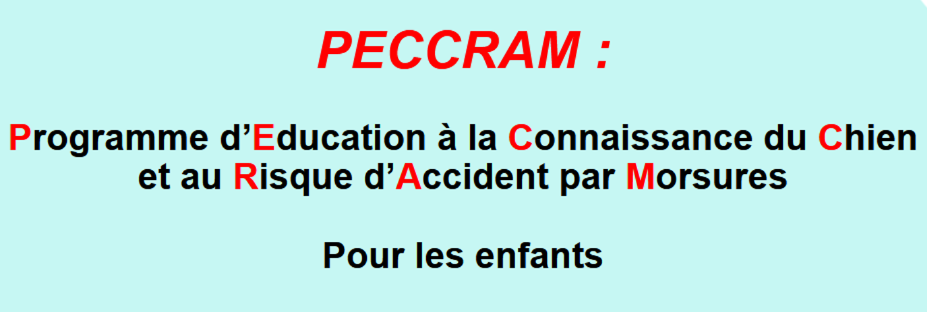 Capture d ecran peccram 1