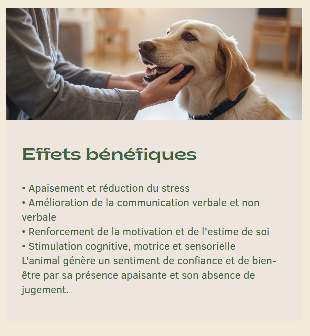 Effets benefique de la ma