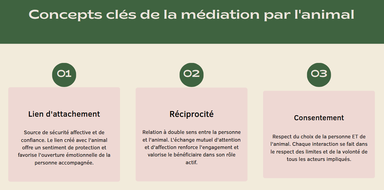 Les 3 concepts cles de la ma